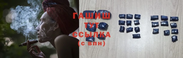 гашик Вязьма