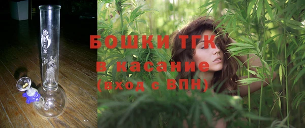 дживик Майский