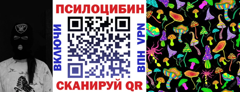 гидра ТОР  Олонец  Псилоцибиновые грибы Psilocybe  где можно купить наркотик 