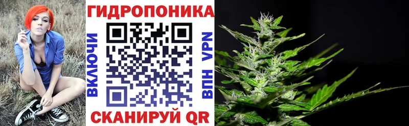 Шишки марихуана Ganja Олонец